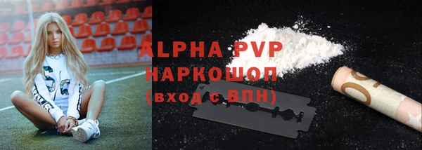 индика Богданович