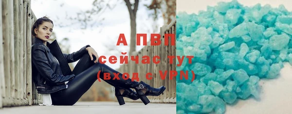 индика Богданович