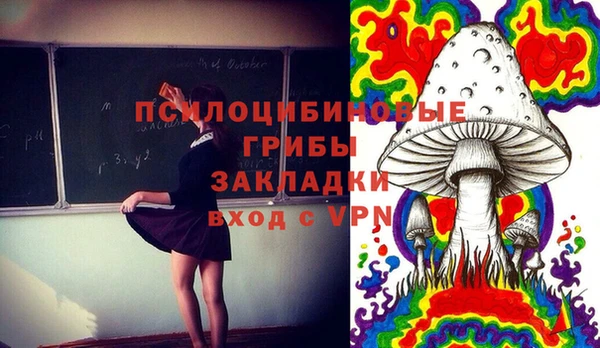 МДПВ Богородицк