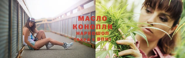 индика Богданович
