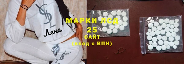 индика Богданович