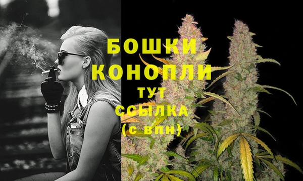 индика Богданович