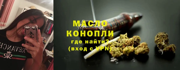 индика Богданович