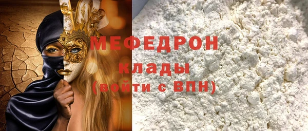 индика Богданович