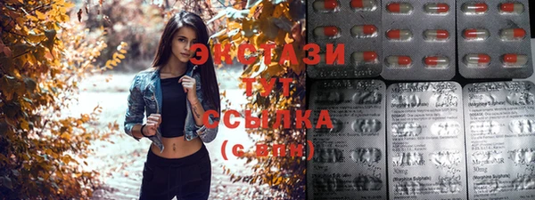 индика Богданович