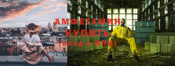 индика Богданович