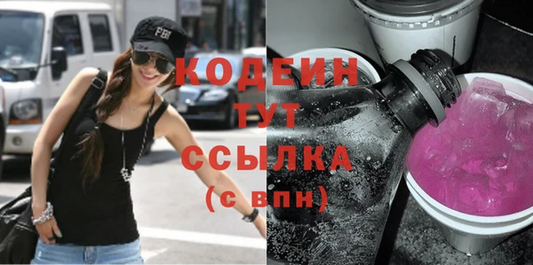 индика Богданович
