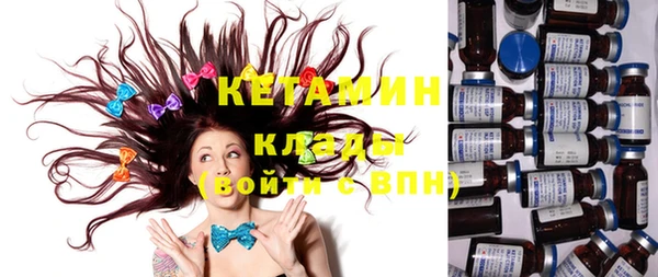 индика Богданович