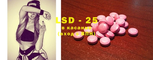индика Богданович