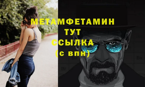 индика Богданович