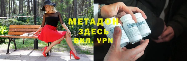индика Богданович