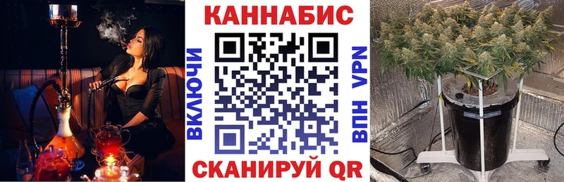 Бошки марихуана планчик  Яровое 